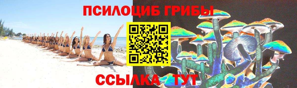 как найти закладки  Вход с VPN  Киселёвск  Псилоцибиновые грибы мицелий  Галлюциногенные грибы мухоморы 